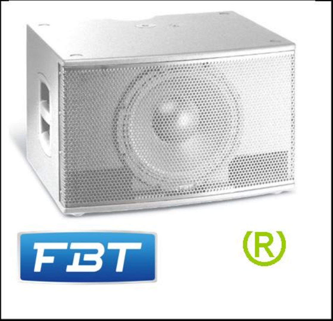 CS1000 geluidset wit 1000 watt continu 129dB piek 12inch sub 6x3inch top J-array