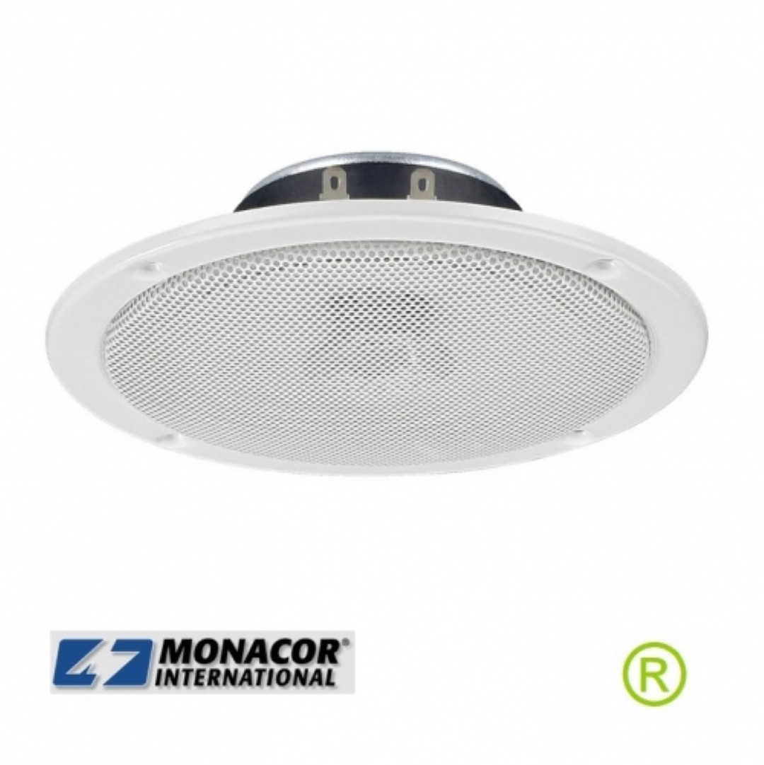 SPE150ws plafond luidspreker breedband