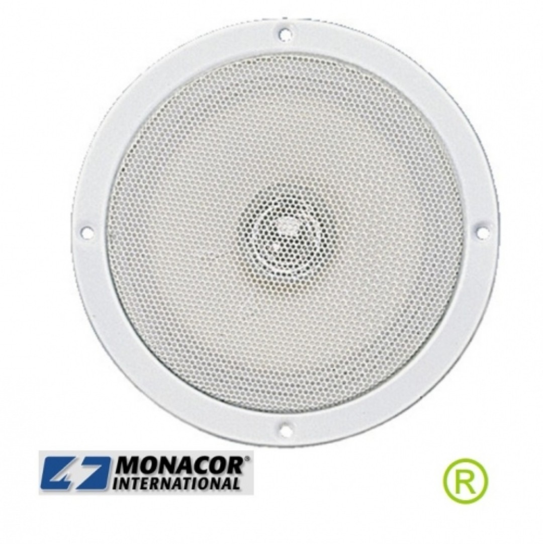 SPE150ws plafond luidspreker breedband