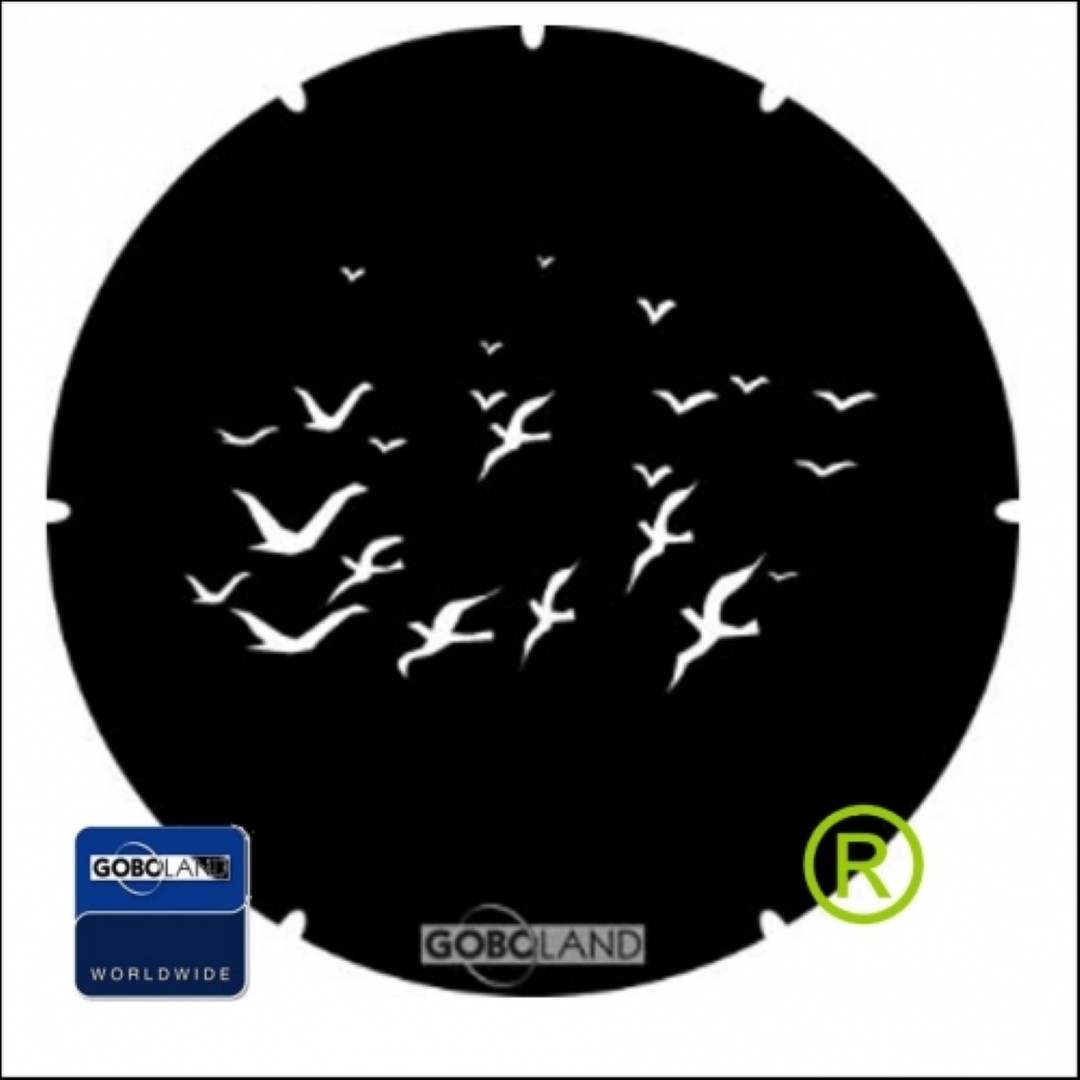 Vliegende vogels Flock of Birds Vogels Gobo B-size