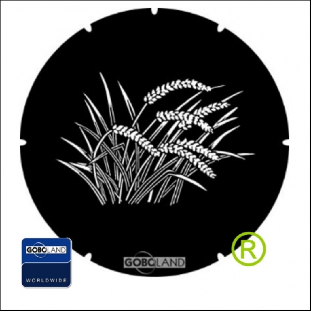 Japanese Grasses Strohalmen Gobo 2 260 053 860 B-size