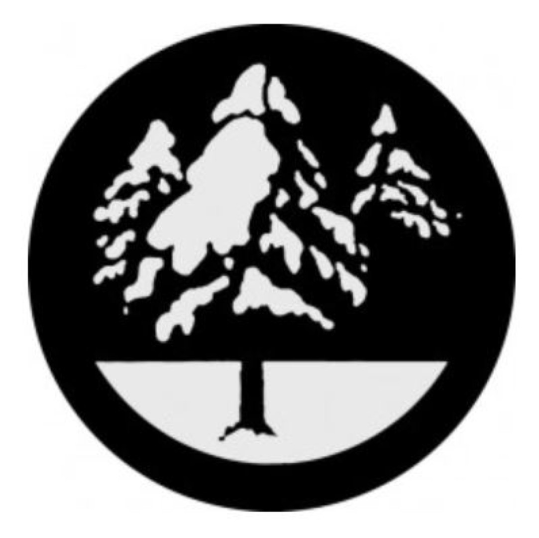 Snowy Branch 2 Gobo B-size besneeuwde bomen B215B kerstboom