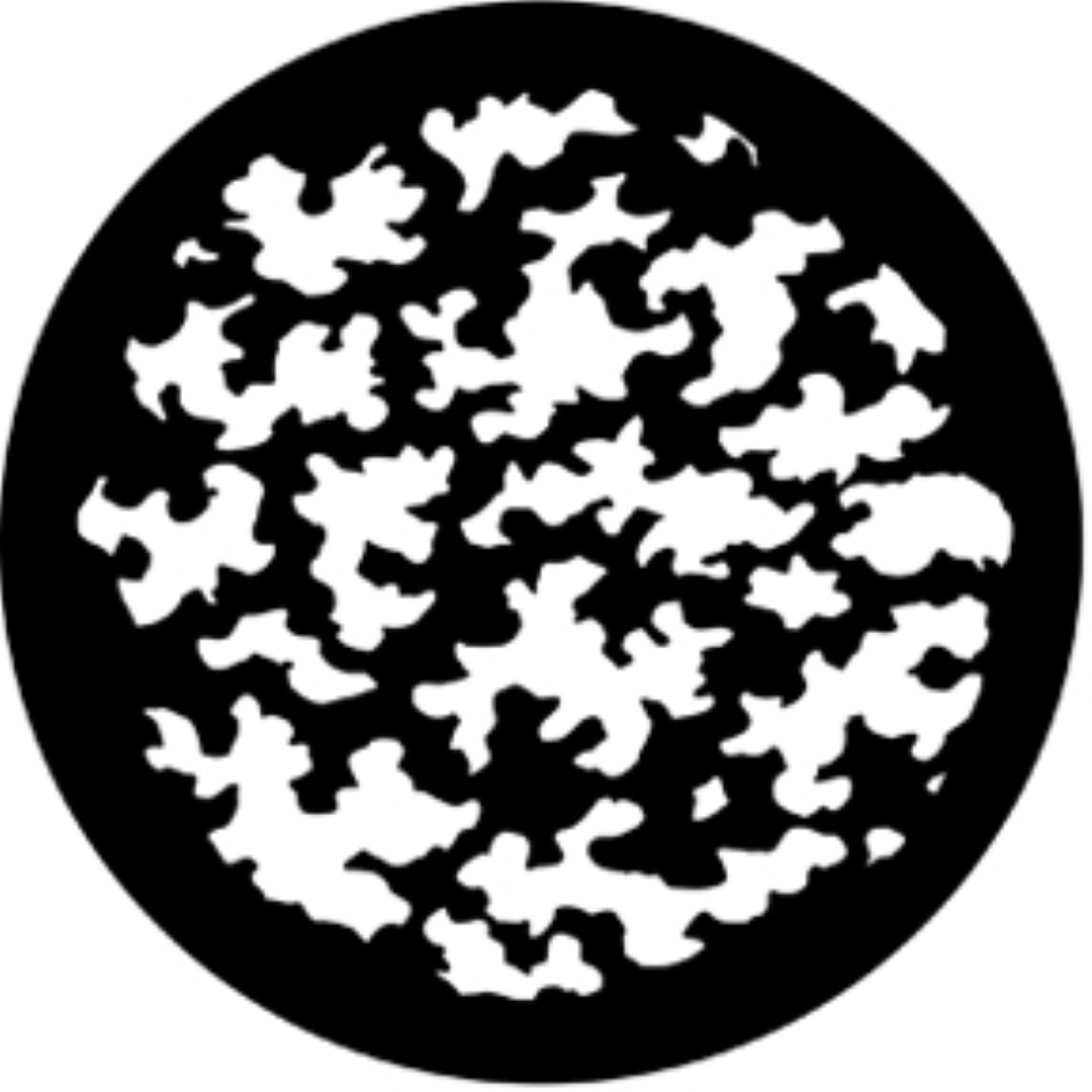 Leaf Breakup Large A-size gobo Bladeren Break-up 77806