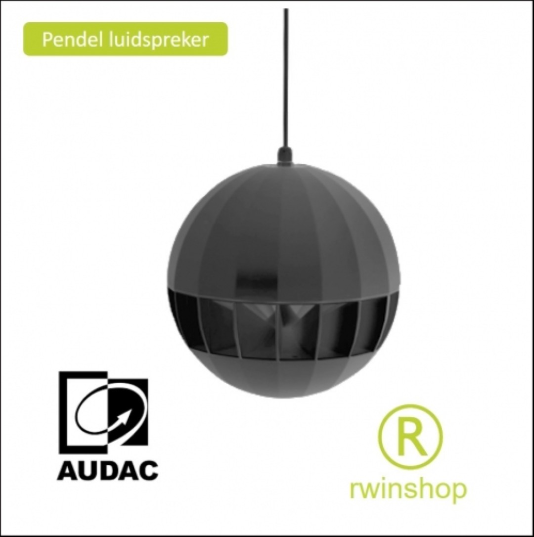Hangende Luidspreker zwart - 20watt 100volt of 8 ohm ASP20B