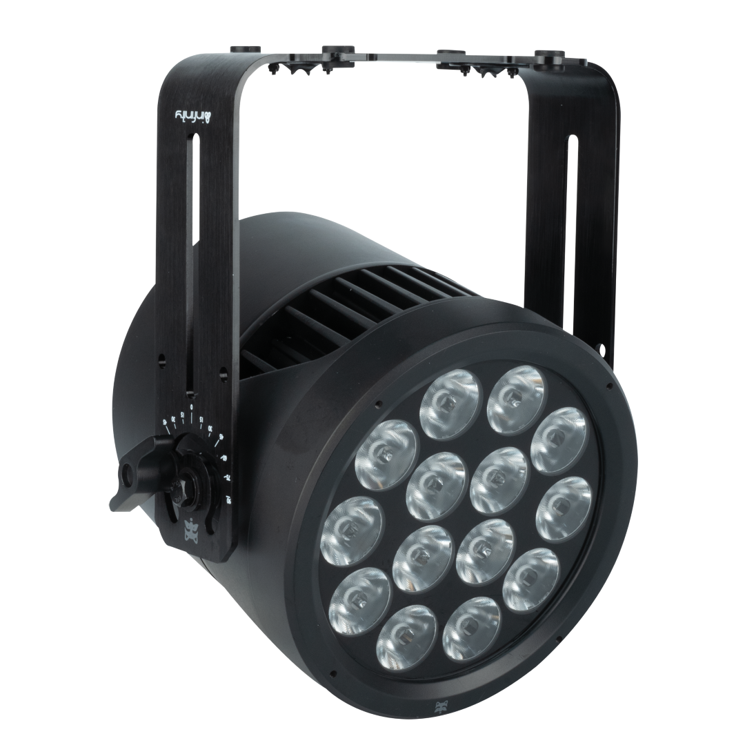 Raccoon P14/4 Professionele RGBM Par