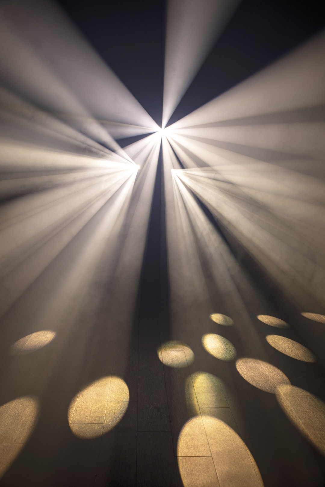 Dataflower LED Effectverlichting