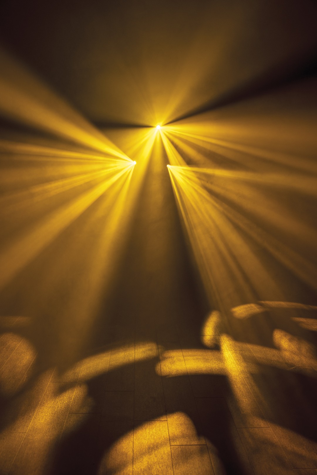 Dataflower LED Effectverlichting