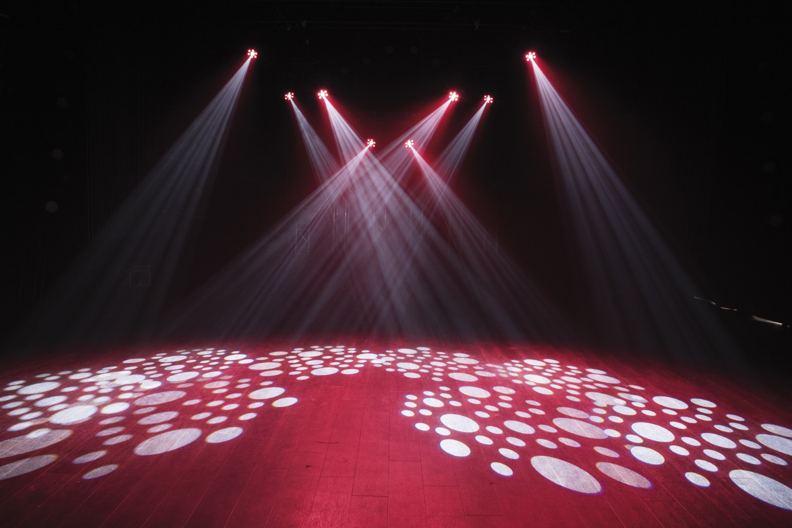 Shark Combi Spot One 6x 8 W RGBW LED Wash and Spot Moving Head