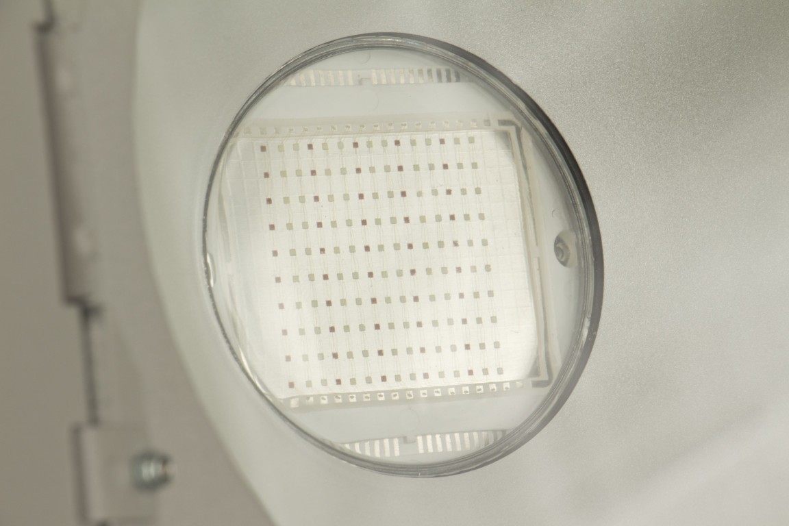 Krachtige IP65 LED-projector voor binnen en buiten uitgerust met een RGB COB-LED van 150W voor grotere toepassingen - LDP-COBWASH 150TC