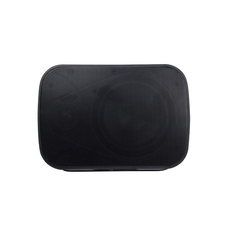 Installatie luidspreker 6,5″ + 1″ met basradiator achteraan - 60W - 100V en 8 Ohms – IP65 - Zwart - ONDE660B