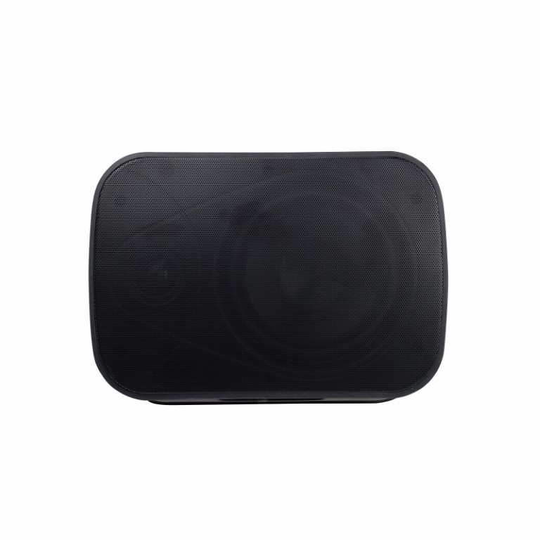 Installatie luidspreker 5″ + 1″ met basradiator achteraan - 40W - 100V en 8 Ohms – IP65 - Zwart - ONDE540B