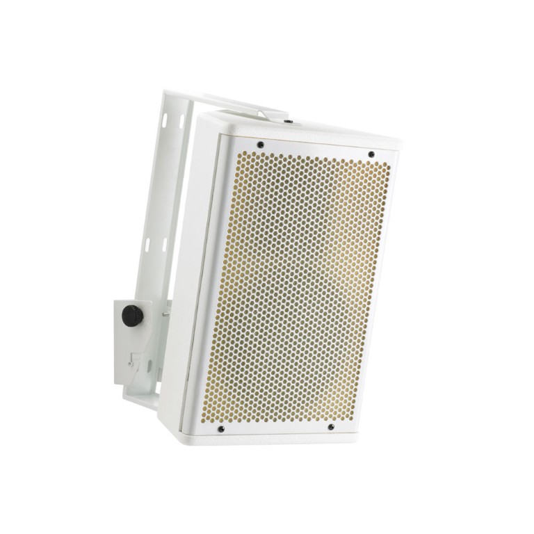 100W RMS passieve luidspreker 6,5