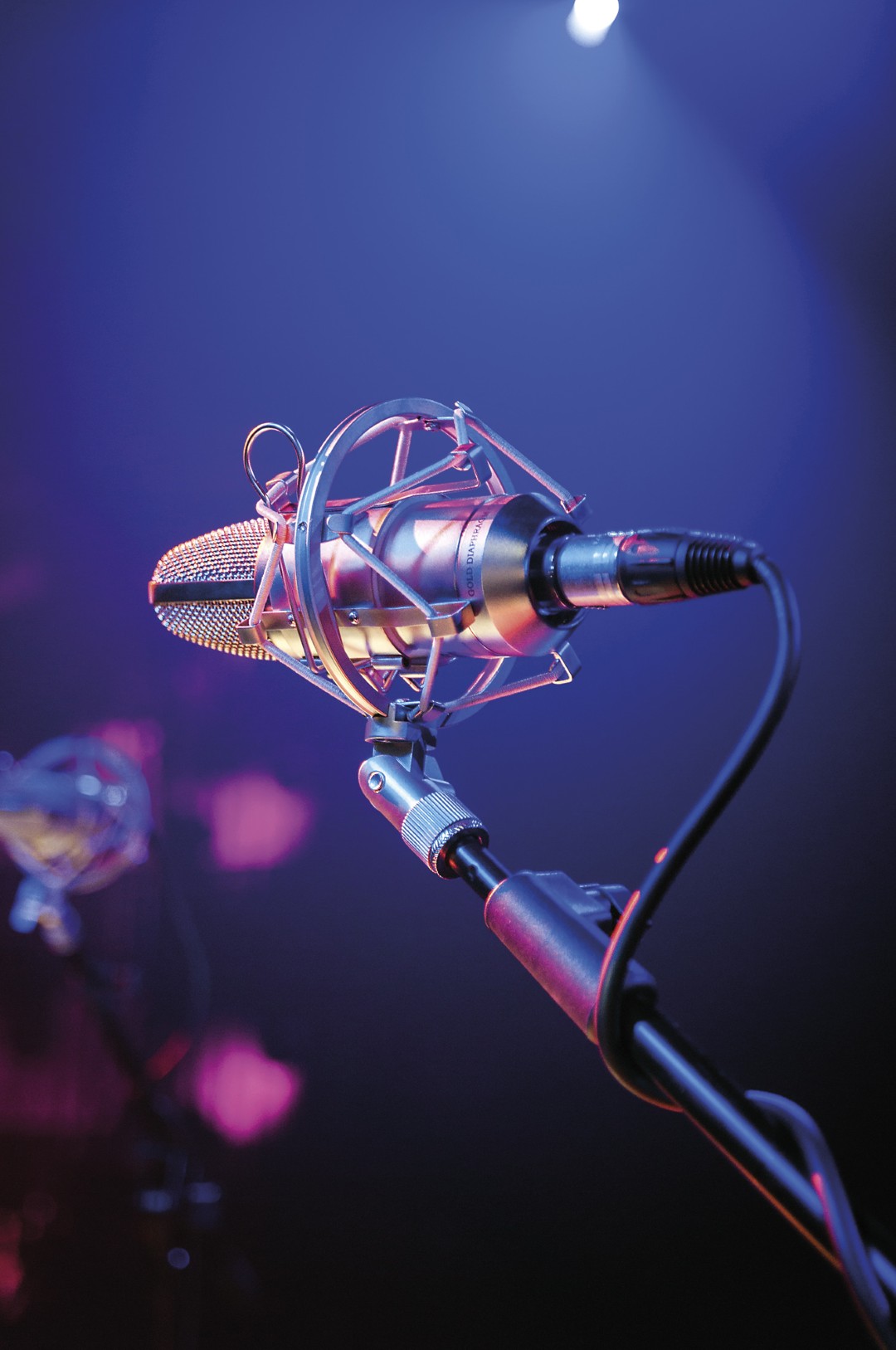 URM-1 USB Condensator Studio Zangmicrofoon