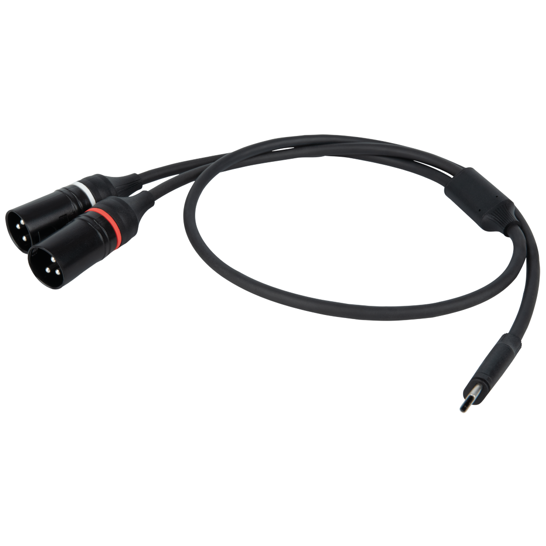 FL112 - USB-C to 2 XLR/M 3P 384 kHz / 32 bit - 1,5 m