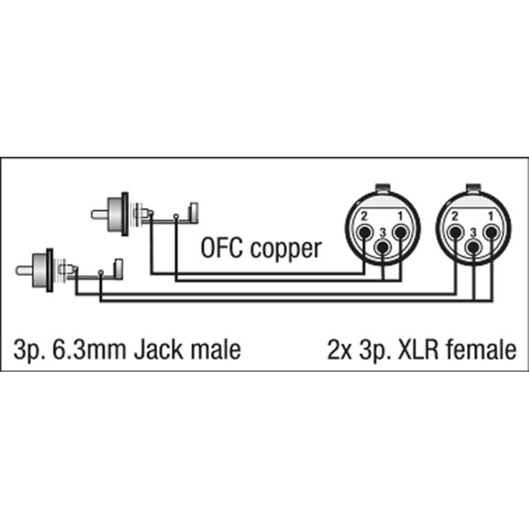 FL25 - 2 RCA male L/R to 2 XLR/F 3P 1,5 m