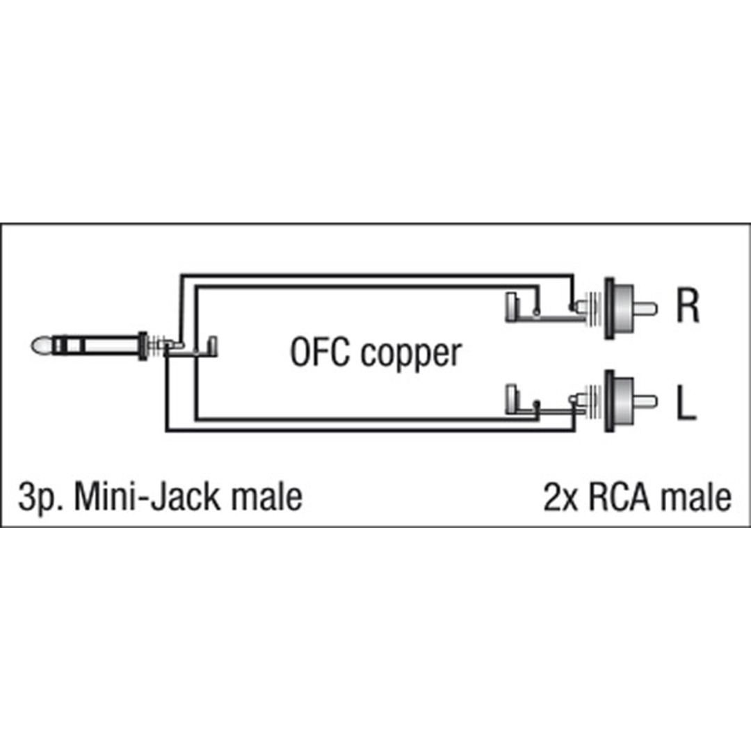 FL30 - stereo mini-jack to 2 RCA male L/R 1,5 m