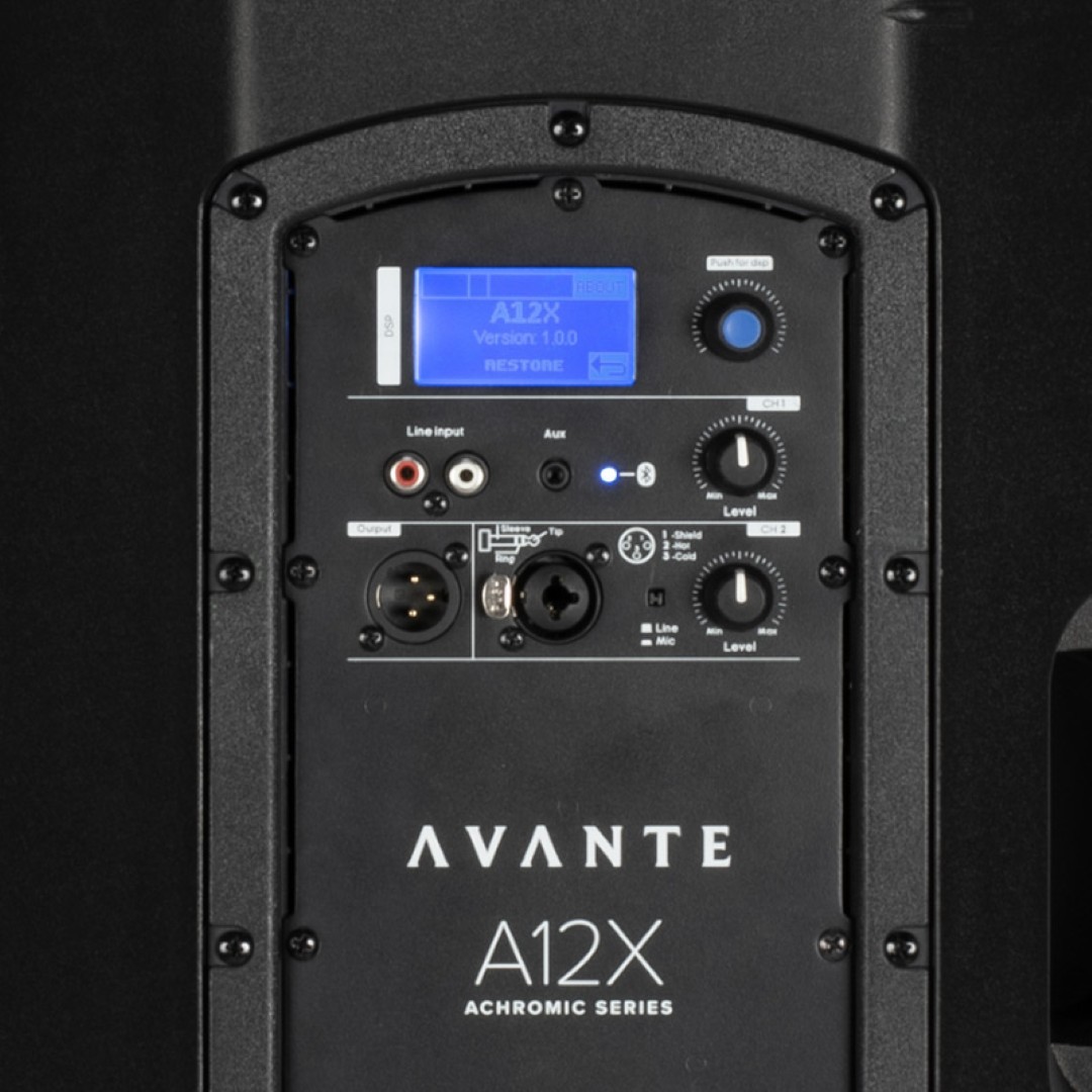 A12X actieve 12-inch luidspreker met DSP en Bluetooth