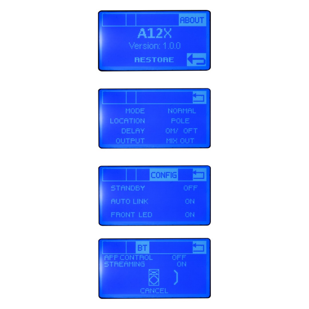 A12X actieve 12-inch luidspreker met DSP en Bluetooth