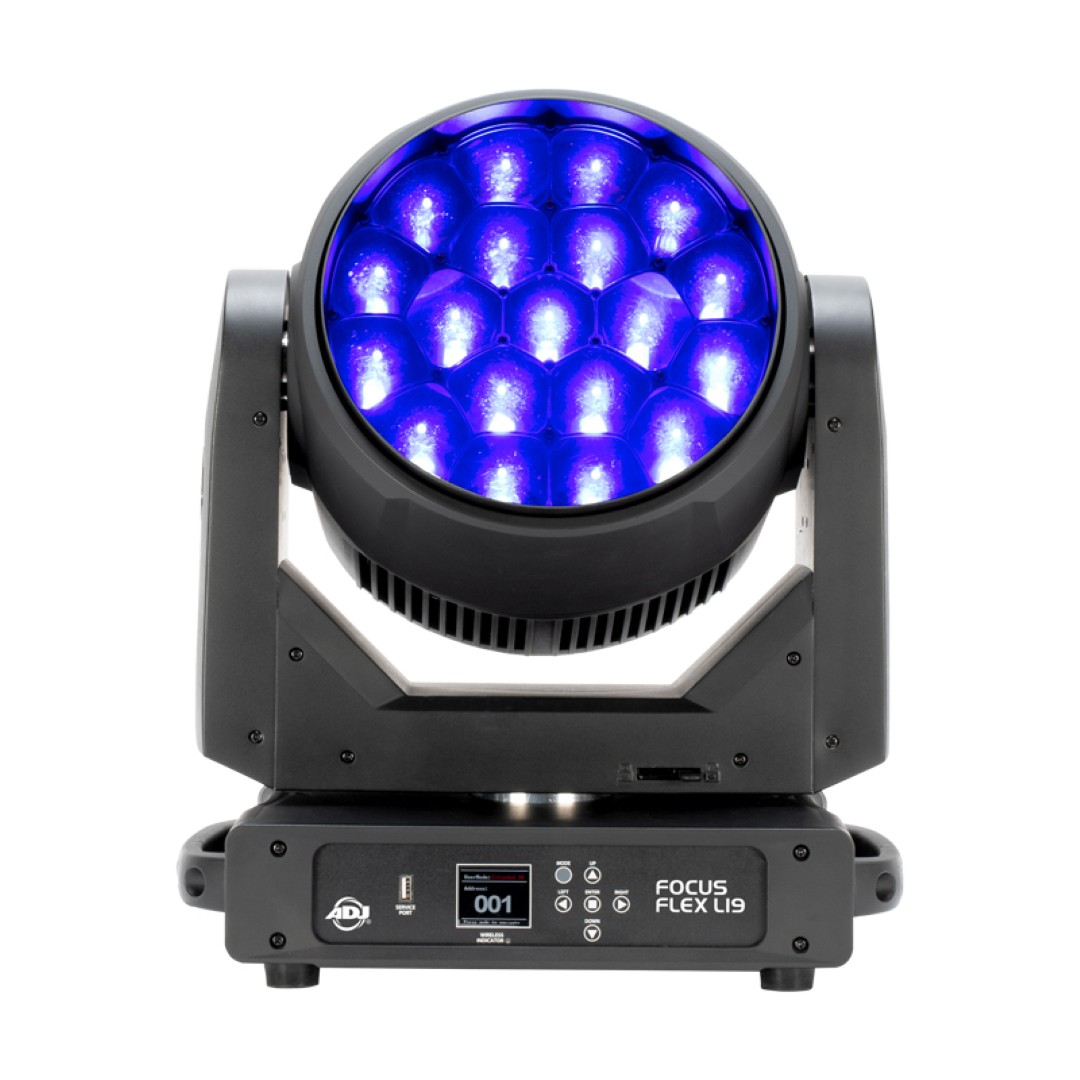 Focus Flex L19