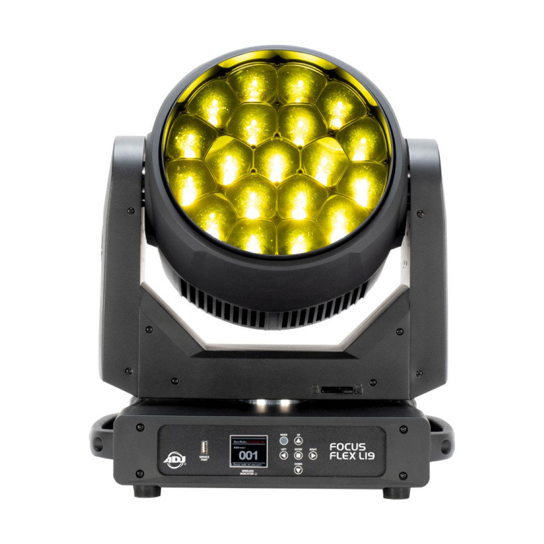 Focus Flex L19