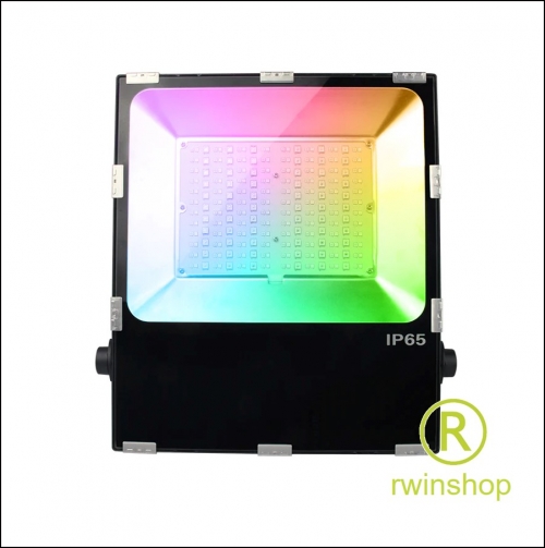 Schijnwerper IP67 RGB-CCT 100 watt met handpalm controller - Huren 